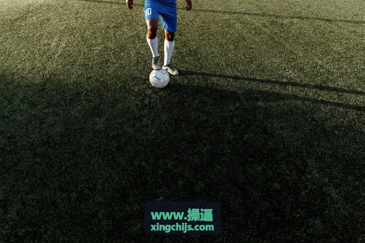 www.操逼 高清成人视频播放界面